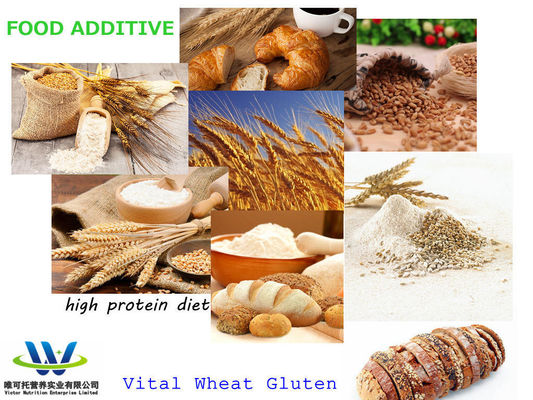 Zusammengefasste Anforderung Vital Wheat Gluten/Lebensmittelzusatzstoff/CAS 8002-80-0 EINECS 232-317-7