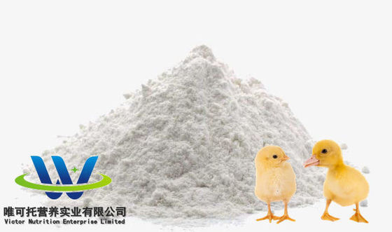 Futtermittelqualität HCl-Sulfat L-Lysin 98,5% 70% Futtermittelzusatzstoffqualität auf Anfrage