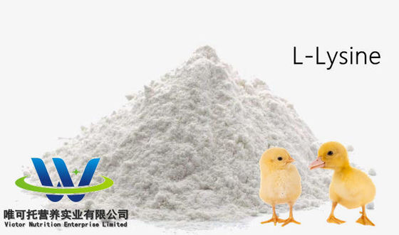 Futtermittelqualität HCl-Sulfat L-Lysin 98,5% 70% Futtermittelzusatzstoffqualität auf Anfrage