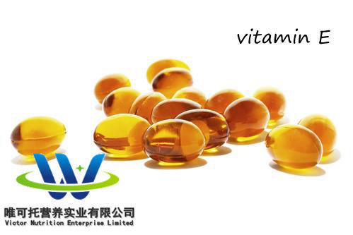 Vitamin Nährstoffzusammensetzung Synthetisches Vitamin E Acetatöl CAS 7695-91-2 EA-98