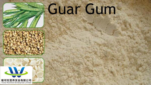 Lebensmittelqualität Guar Gum CAS 9000-30-0 mit normaler Lagermethode Haltbarkeit 12 Monate